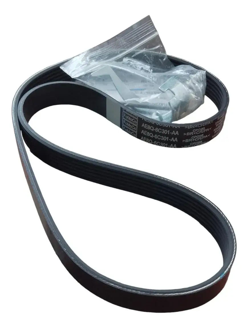 Correa Poly V Ford Fiesta Kinetic 20102013 Mexicano